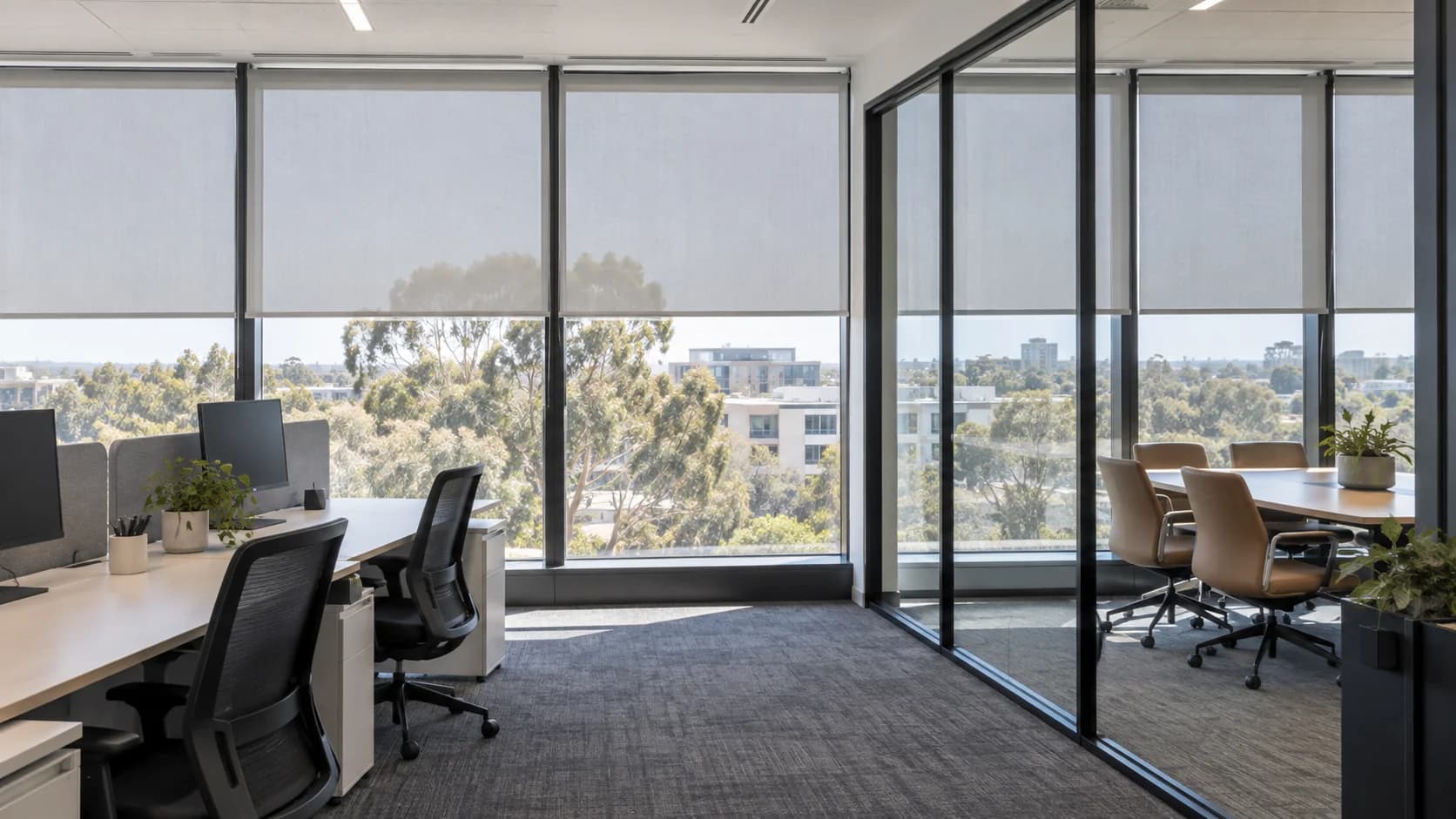 Sydney workplace with aligned sunscreen roller blinds across broad glazing